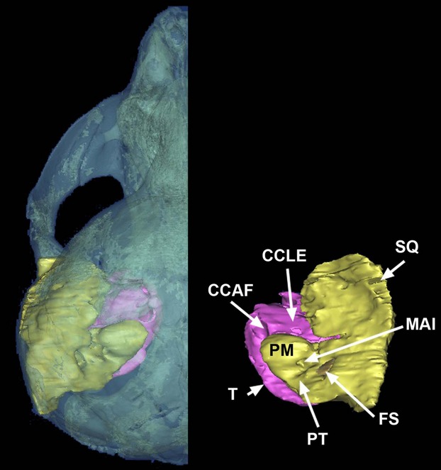 Figure 12