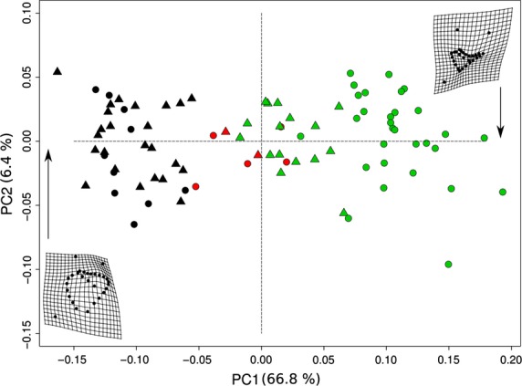 Figure 13