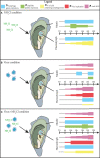 Figure 6