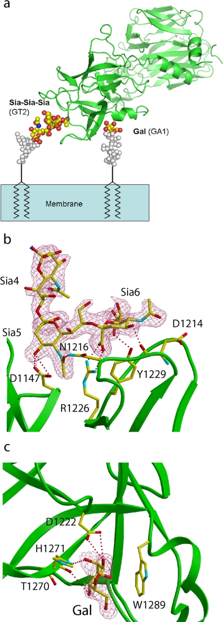 FIGURE 9.