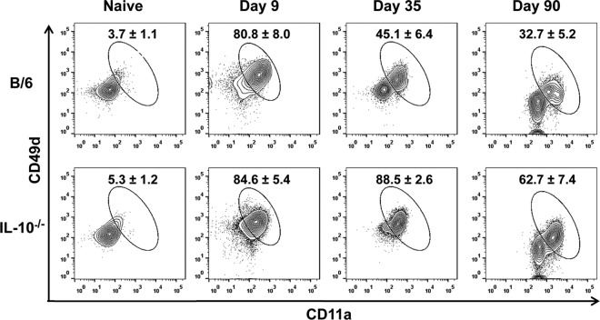 FIG 6