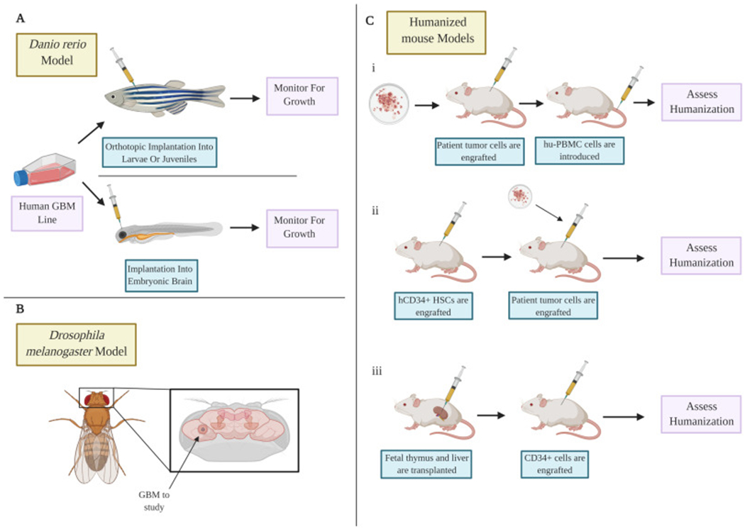 Figure 2: