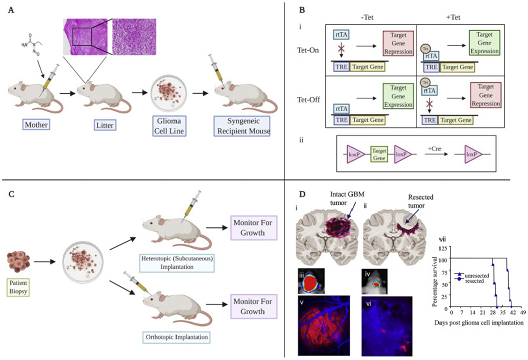 Figure 1: