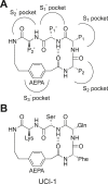 Fig. 1