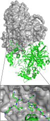 Fig. 2