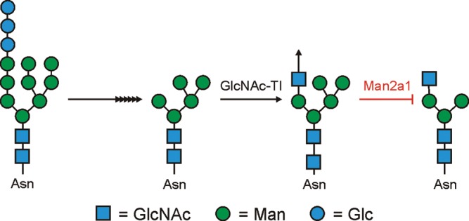 Fig. 1.