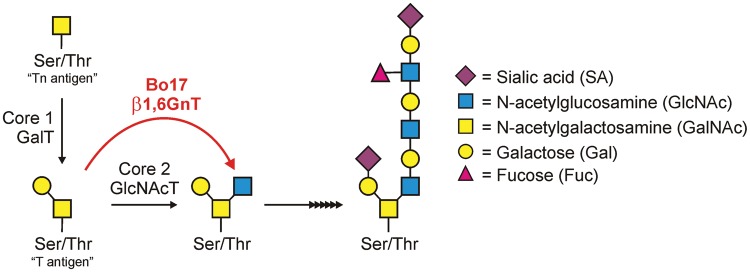 Fig. 2.