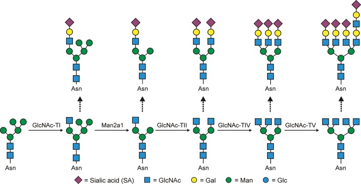 Fig. 3.