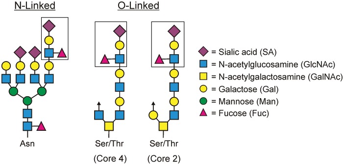 Fig. 4.