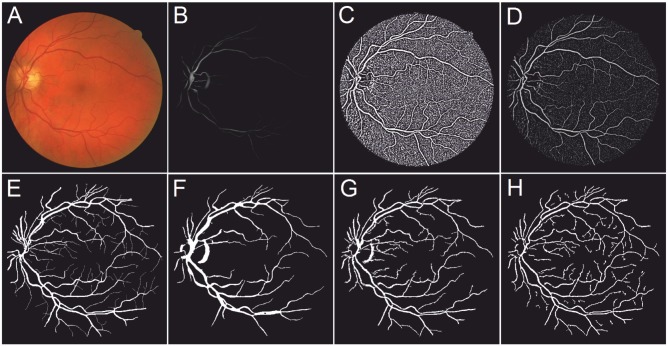 Fig 6