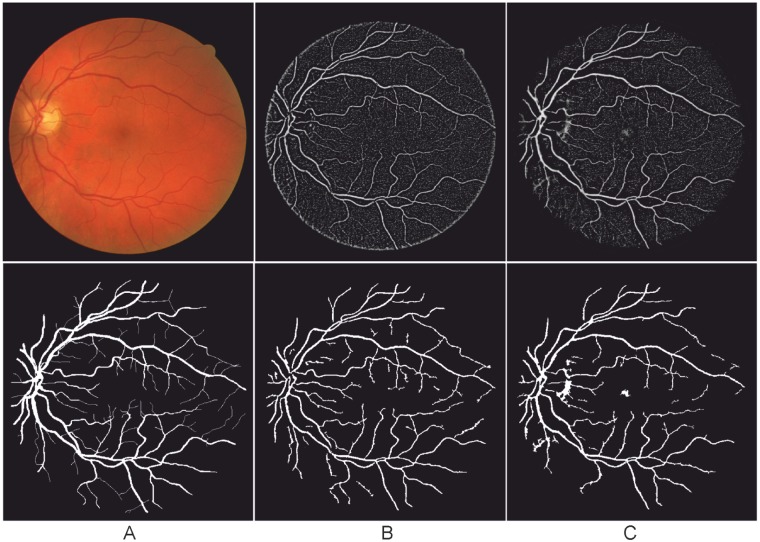 Fig 5