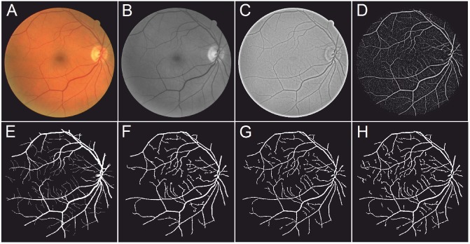 Fig 7