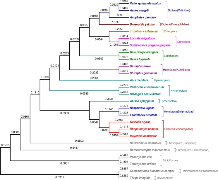 Fig 6