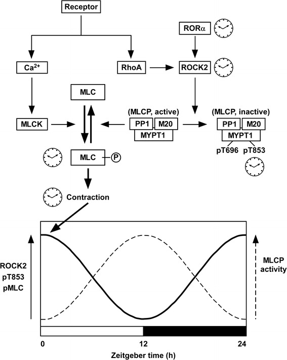 Fig. 3