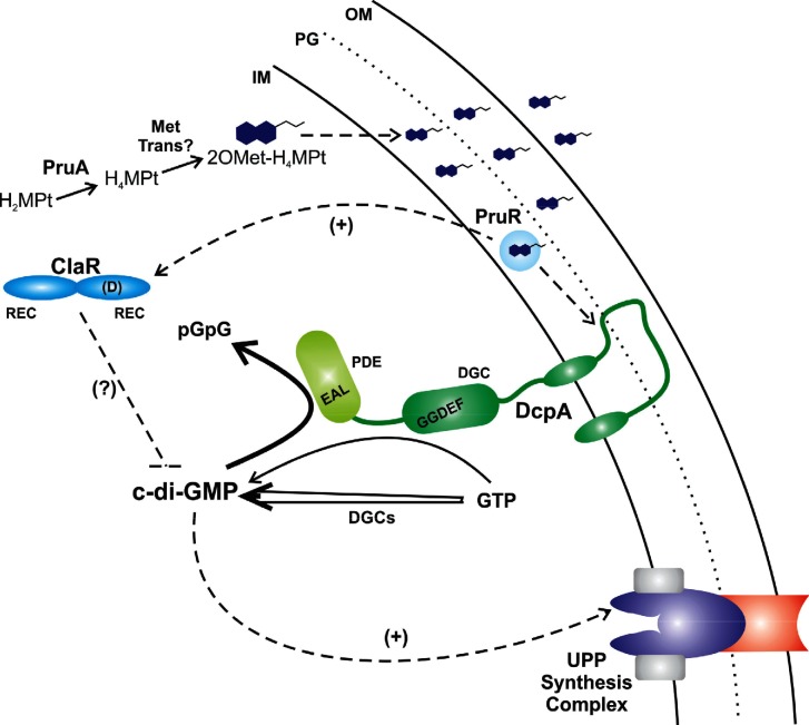 Fig. 6.