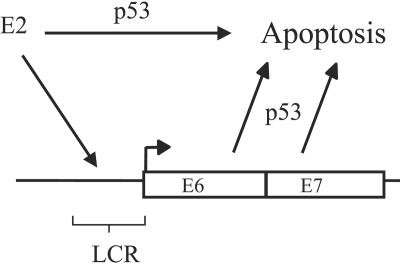 FIG. 7.