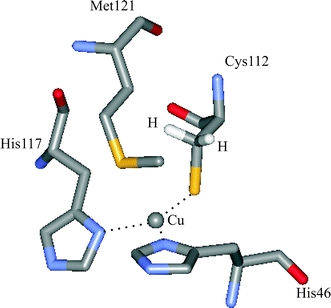 Fig. 1