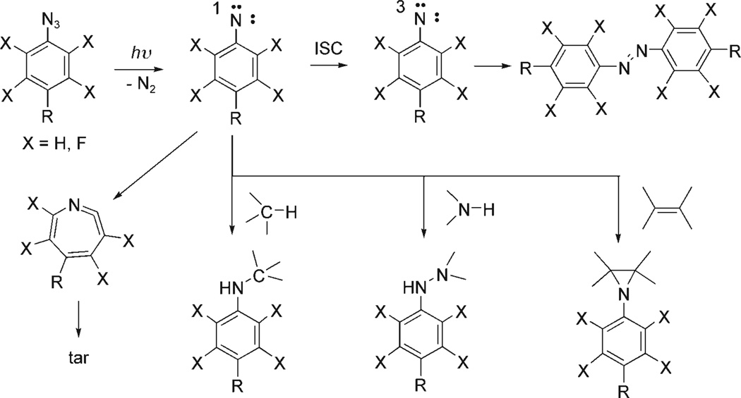 Scheme 2