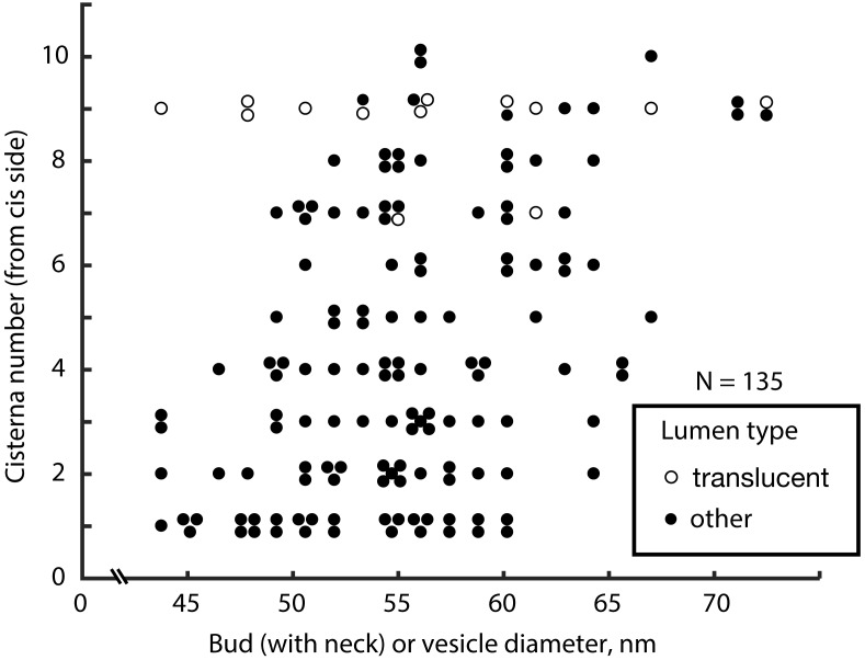 Figure 4—figure supplement 2.