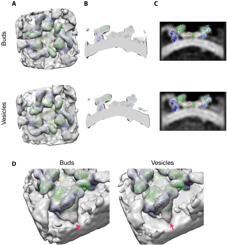 Figure 3—figure supplement 3.