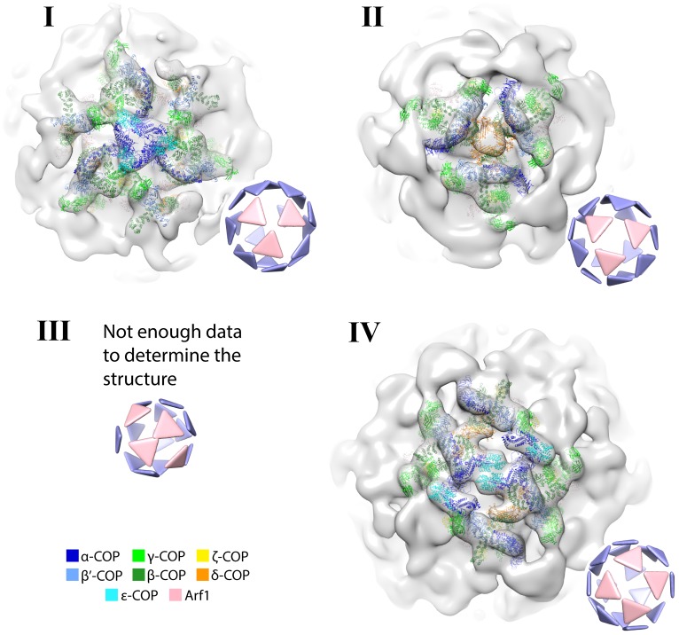 Figure 2—figure supplement 3.