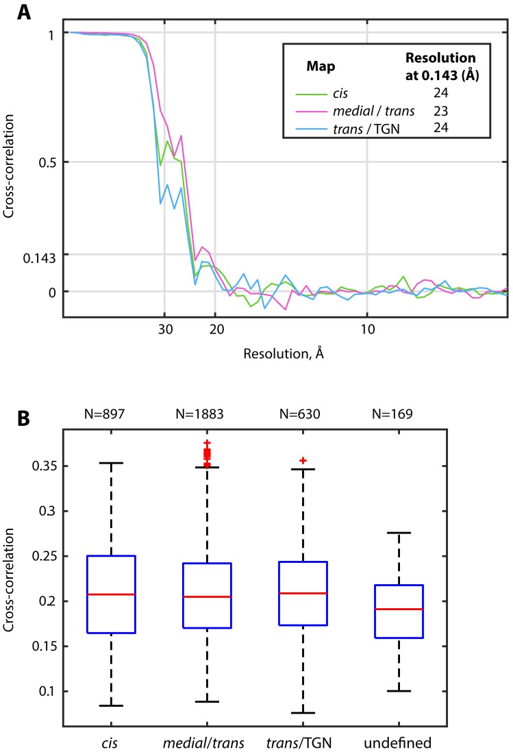 Figure 4—figure supplement 3.