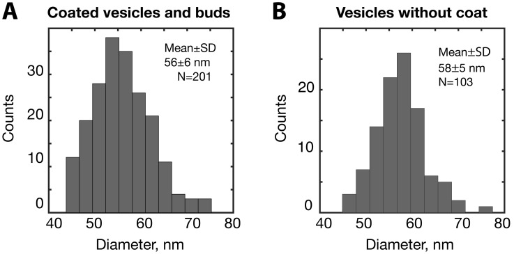 Figure 3—figure supplement 2.