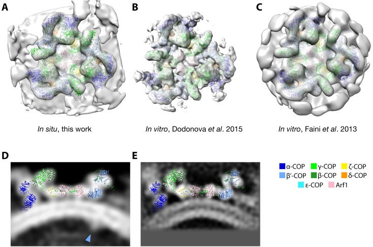 Figure 2—figure supplement 2.