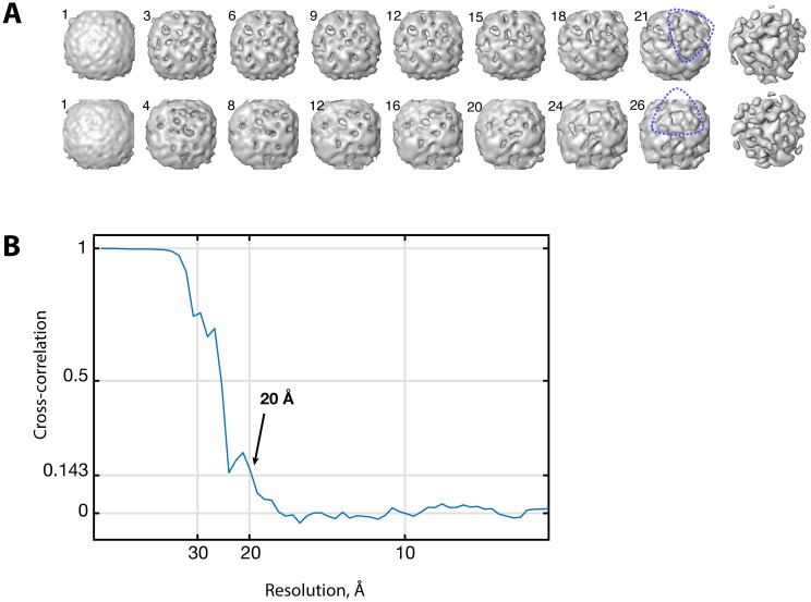 Figure 2—figure supplement 1.