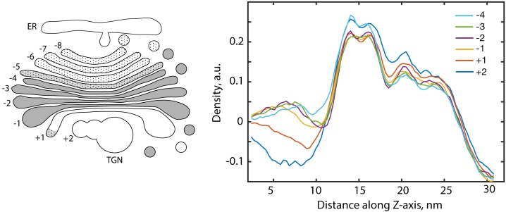 Figure 4—figure supplement 4.