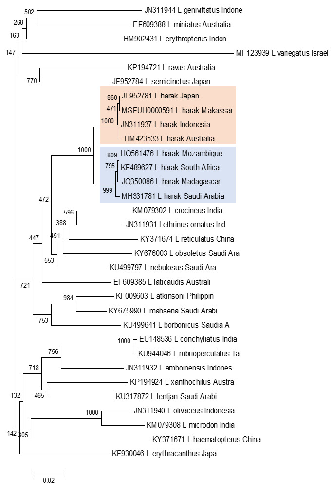 Figure 3. 