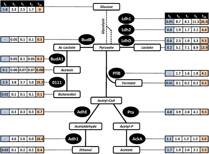 Figure 5