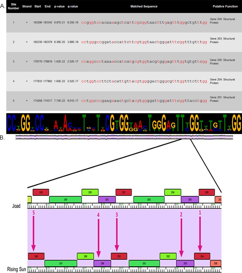 Fig 6