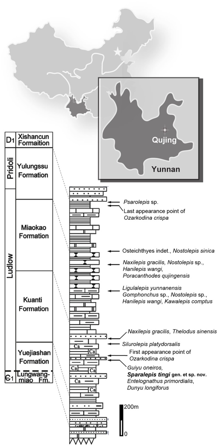 Fig 1