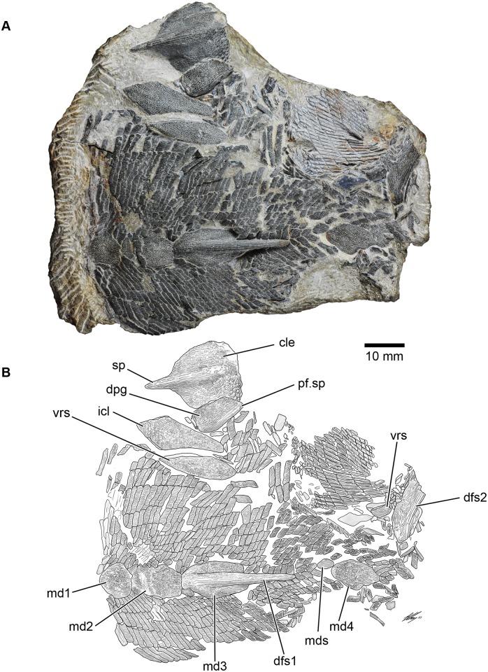 Fig 2