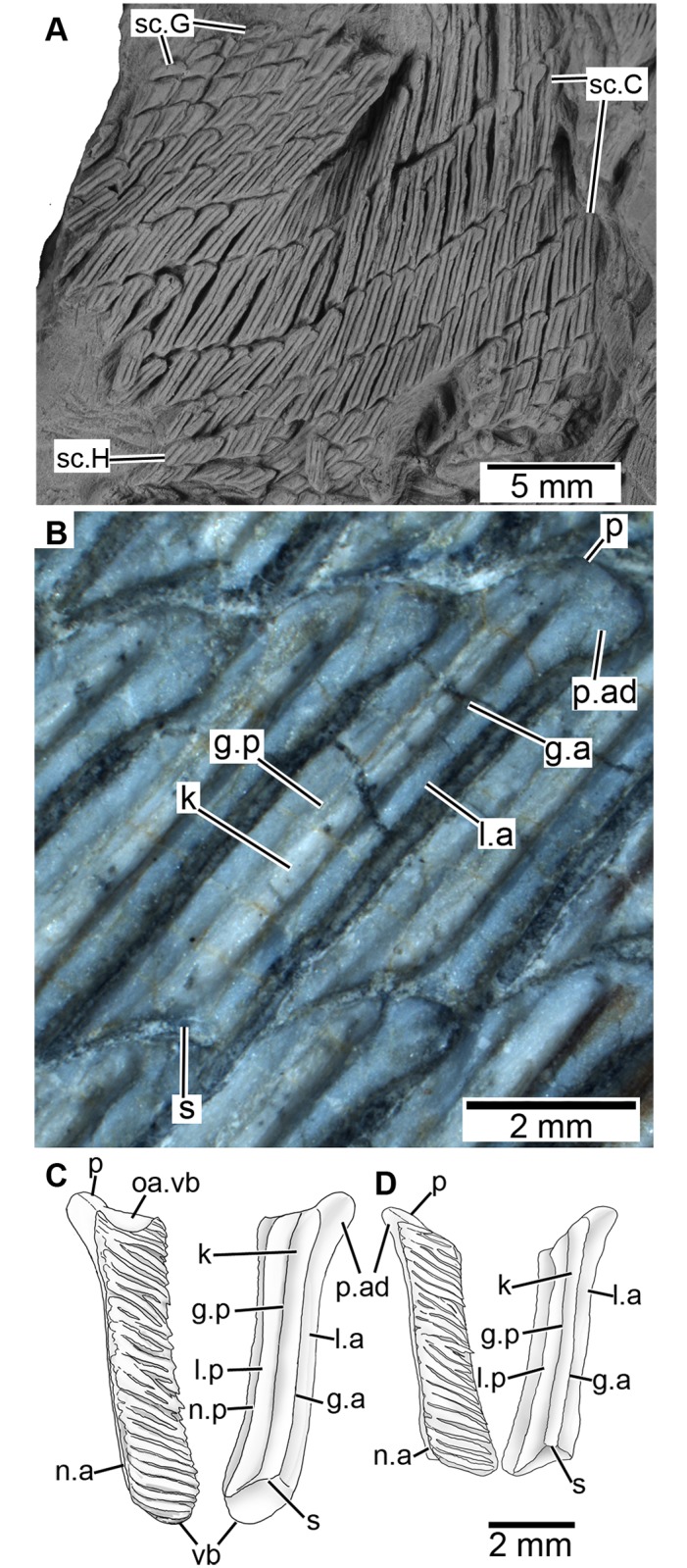 Fig 6