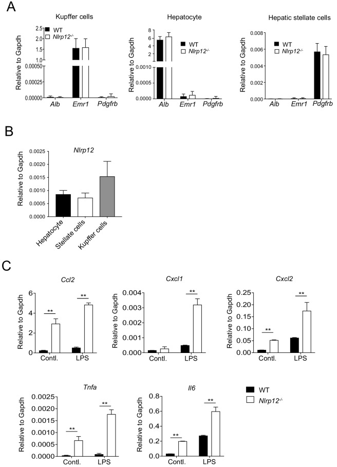 Figure 4—figure supplement 1.