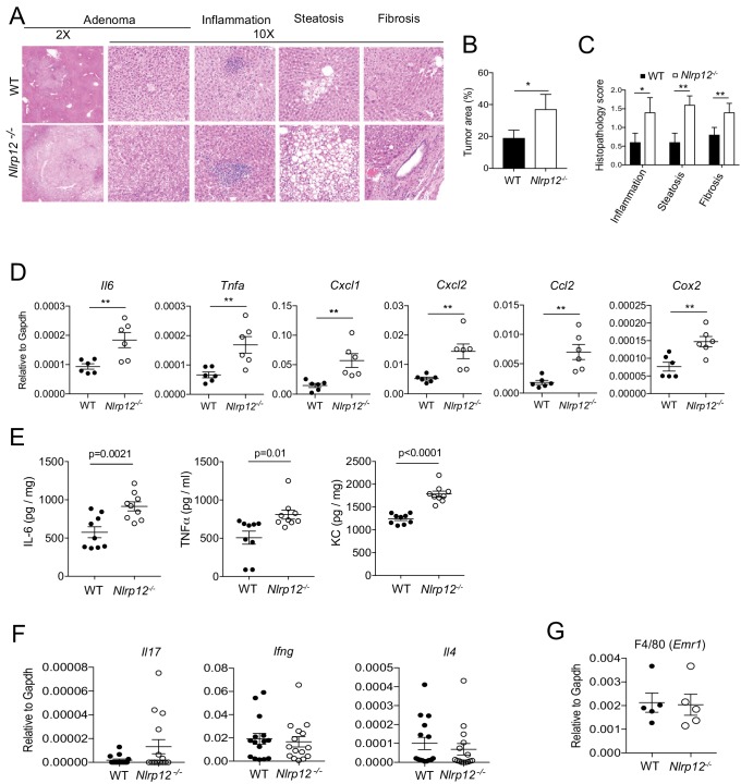 Figure 2—figure supplement 1.