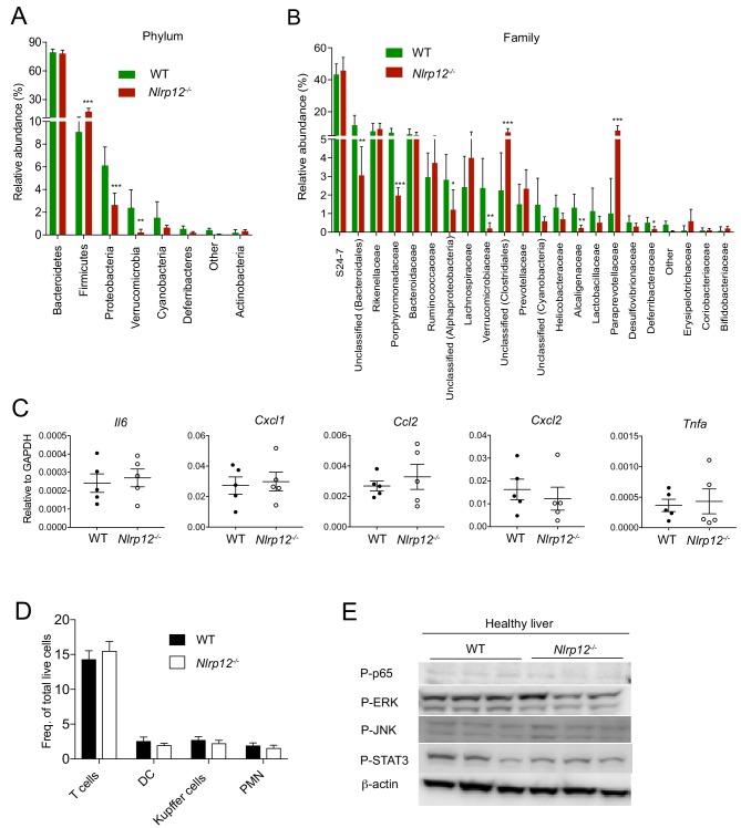 Figure 5—figure supplement 1.