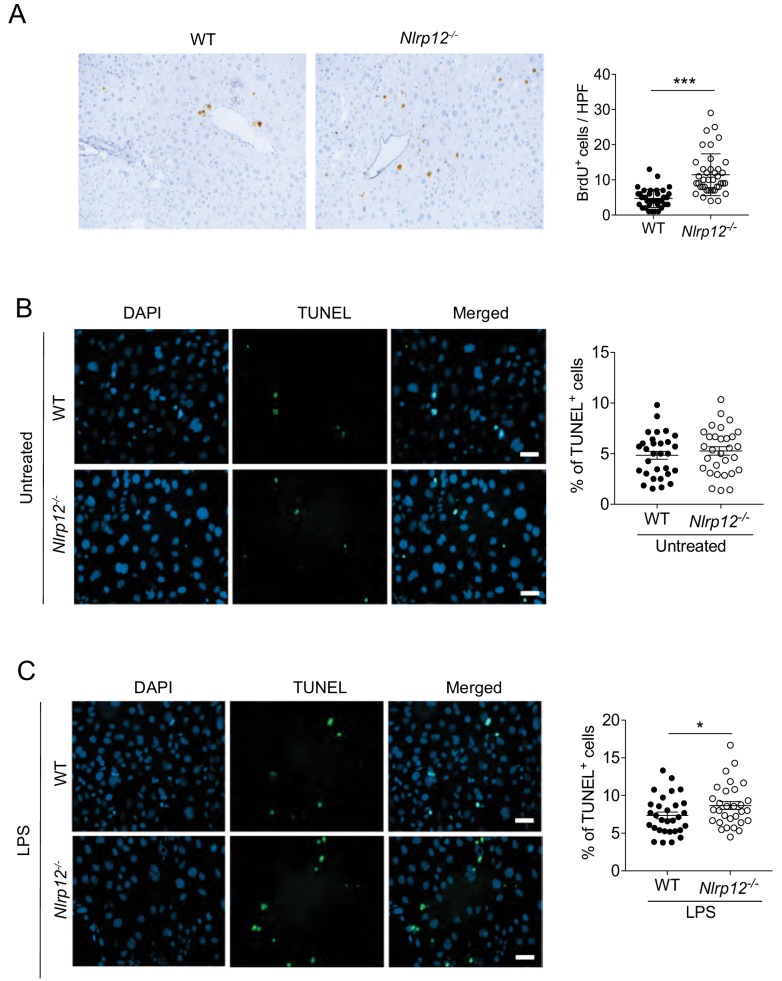 Figure 3—figure supplement 1.