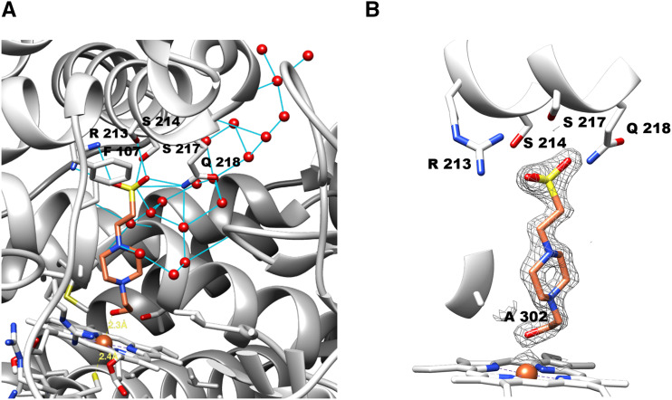 Figure 7.