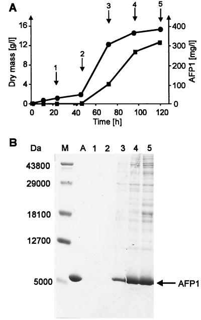 FIG. 4