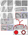 Fig. 5.