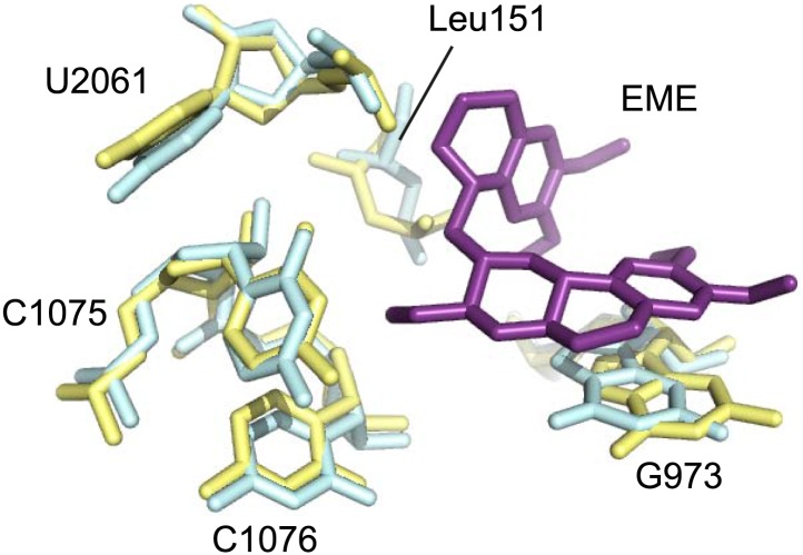 Figure 5—figure supplement 1.