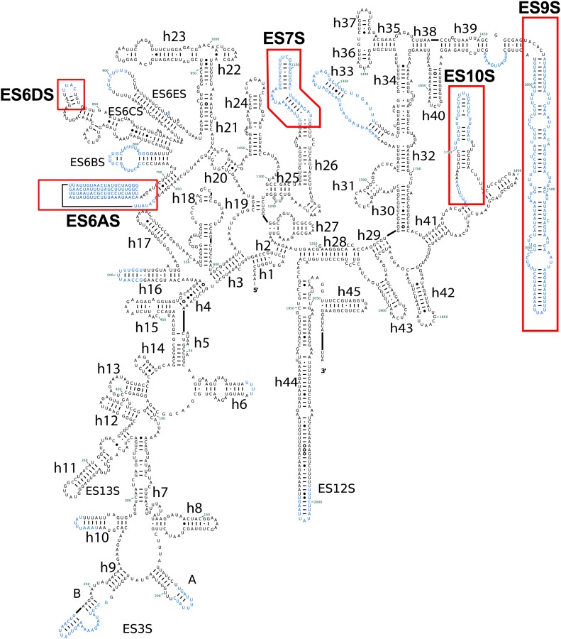 Figure 2—figure supplement 1.