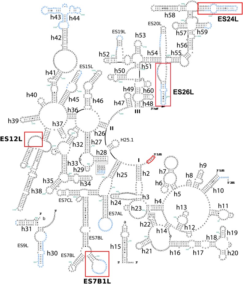 Figure 2—figure supplement 2.