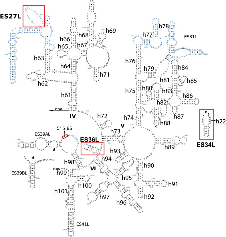 Figure 2—figure supplement 3.