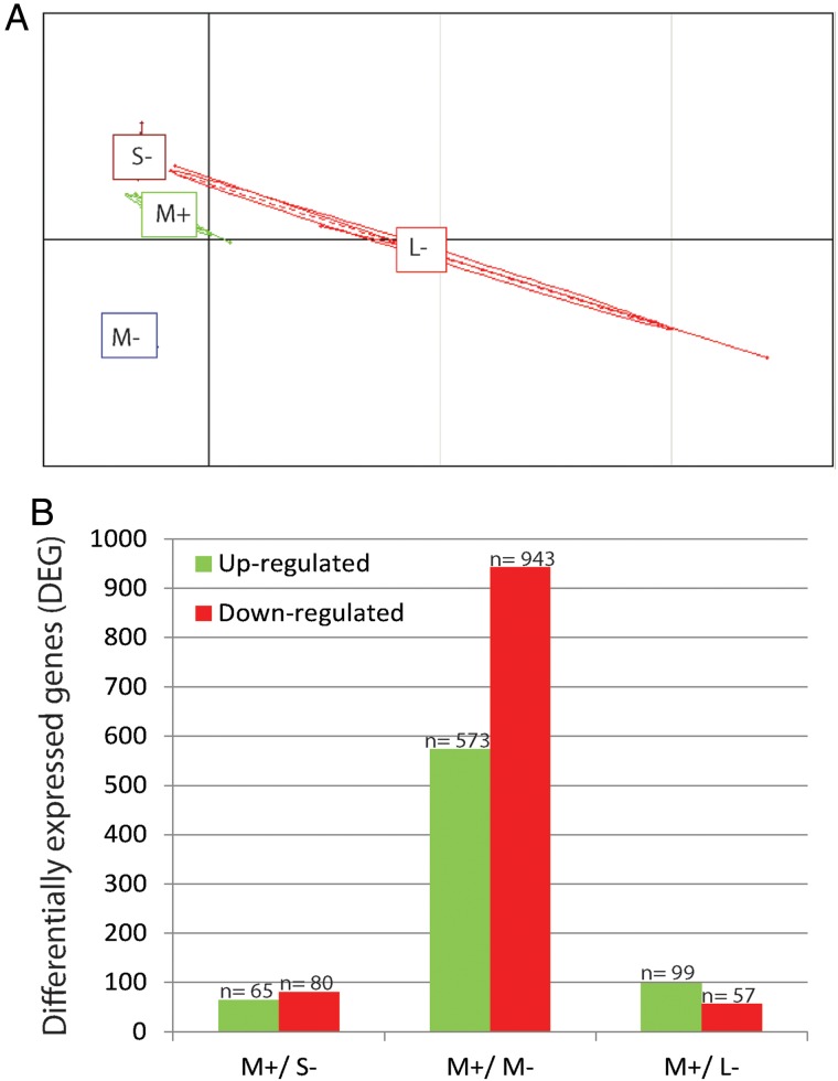 Figure 2