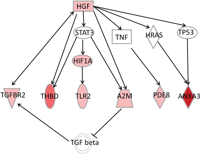 Figure 4