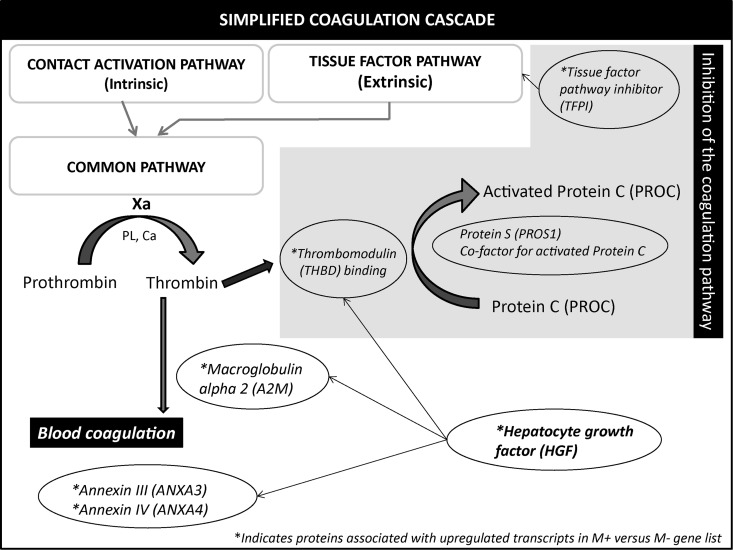 Figure 5